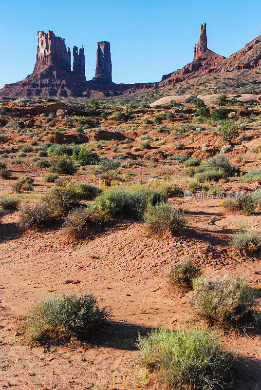 Buttes Sand Dunes Flowers Monument Valley犹他州